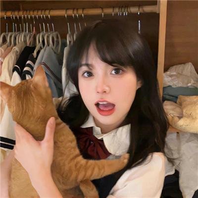 蒂科与鲨鱼